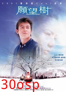 愿望树粤语