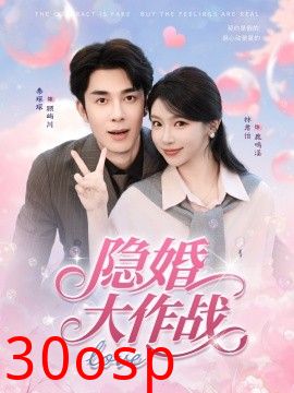 隐婚大作战