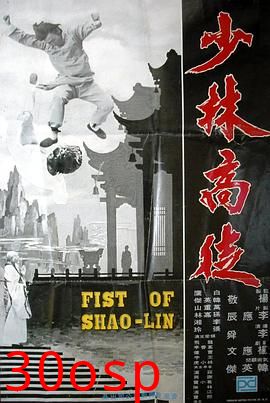 少林高徒粤语