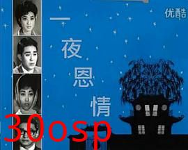 一夜恩情粤语