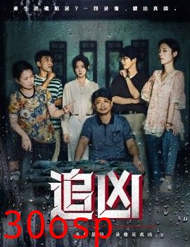 追凶短剧版