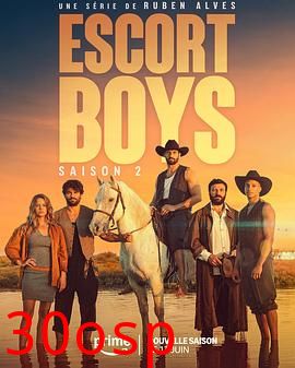 应召男郎第二季