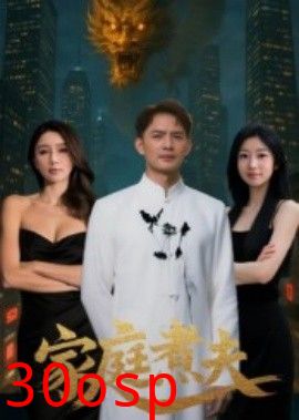 家庭煮夫
