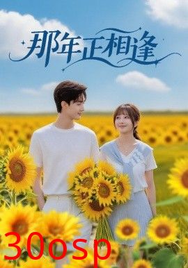 那年正相逢