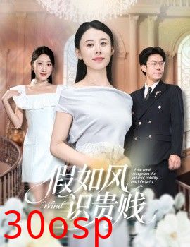 假如风识贵贱