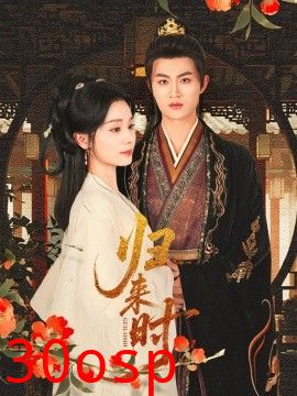 归来时