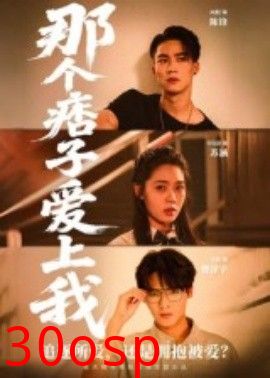 那个痞子爱上我