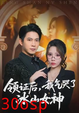 领证后，我气哭了冰山女神