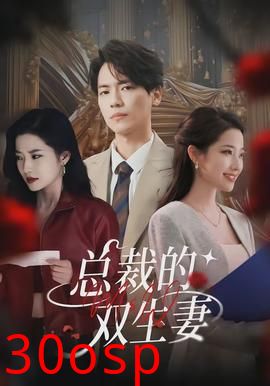 总裁的双生妻