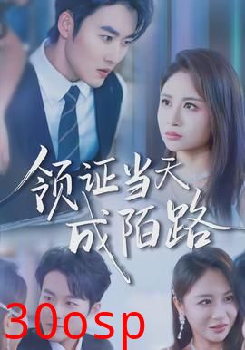 领证当天成陌路