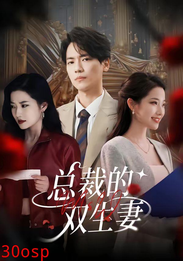 总裁的双生妻