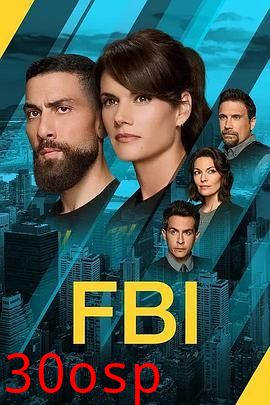 联邦调查局 第八季