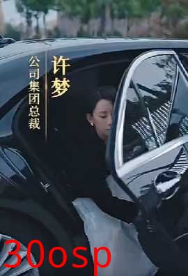女老板的复仇