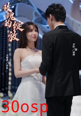 玫瑰的绽放