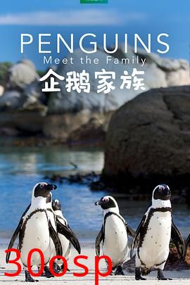 企鹅家族