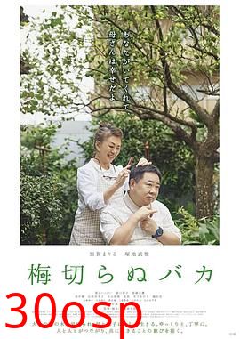 不砍梅树的傻瓜