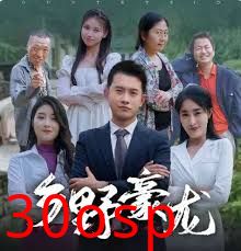 乡野豪龙