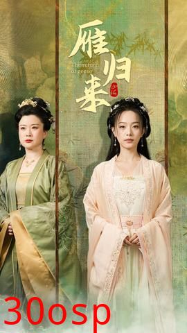 雁归来