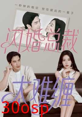 闪婚总裁太难缠