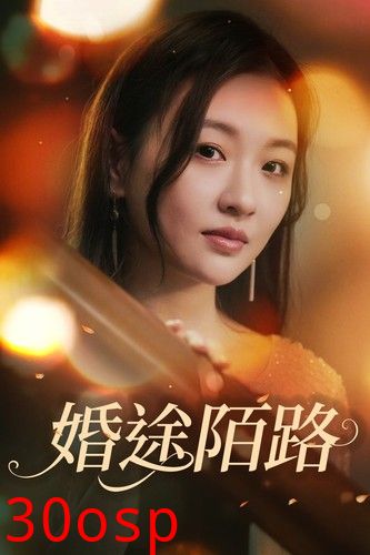 婚途陌路