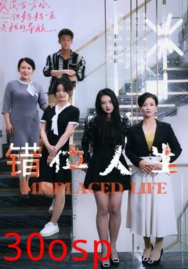 错位人生89集