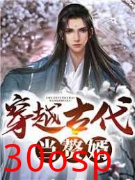 穿越古代当赘婿