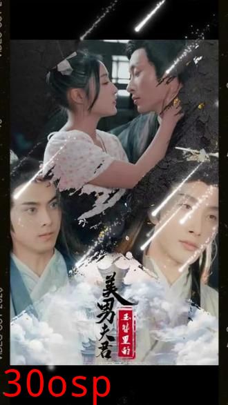 玉簪里的美男夫君