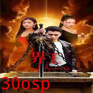 界王（离婚后我给老婆送飞机）