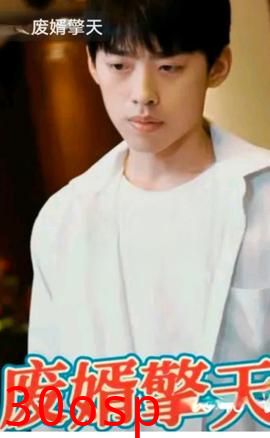 废婿擎天