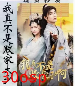 我真不是败家大少