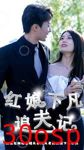 红娘下凡追夫记