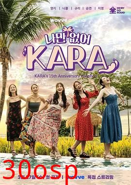 只有没有我，KARA