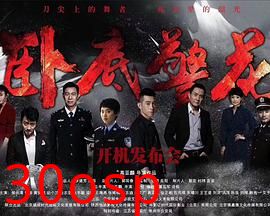 卧底警花