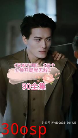 天府少帅