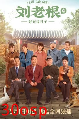刘老根4