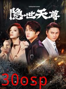隐世天尊