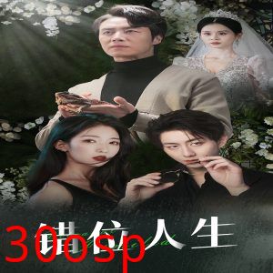 错位人生33集