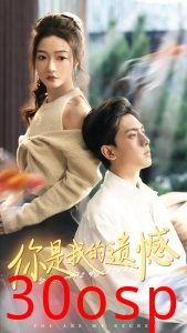 你是我的遗憾