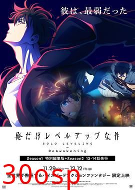 我独自升级-二次觉醒-