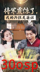 将军震惊了我的外挂是萌娃