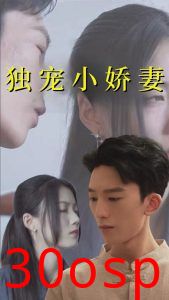 独宠小娇妻