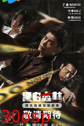 黑白森林2024