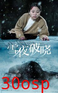雪夜破晓