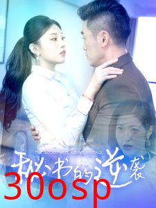 秘书的逆袭