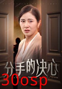 分手的决心短剧