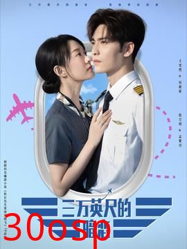 三万英尺的暗恋