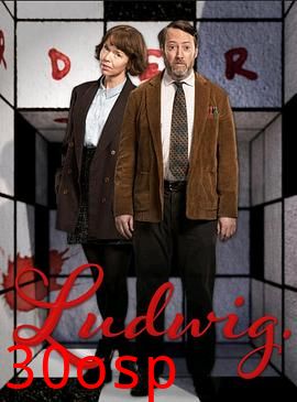 谜探路德维希