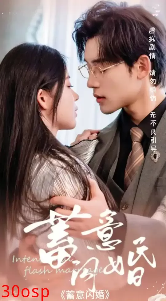 蓄意闪婚