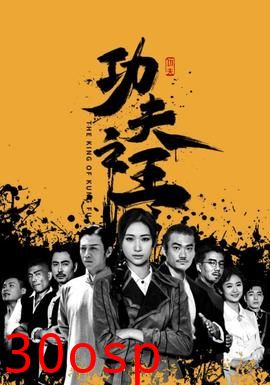 功夫之王短剧