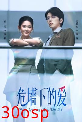 危墙下的爱